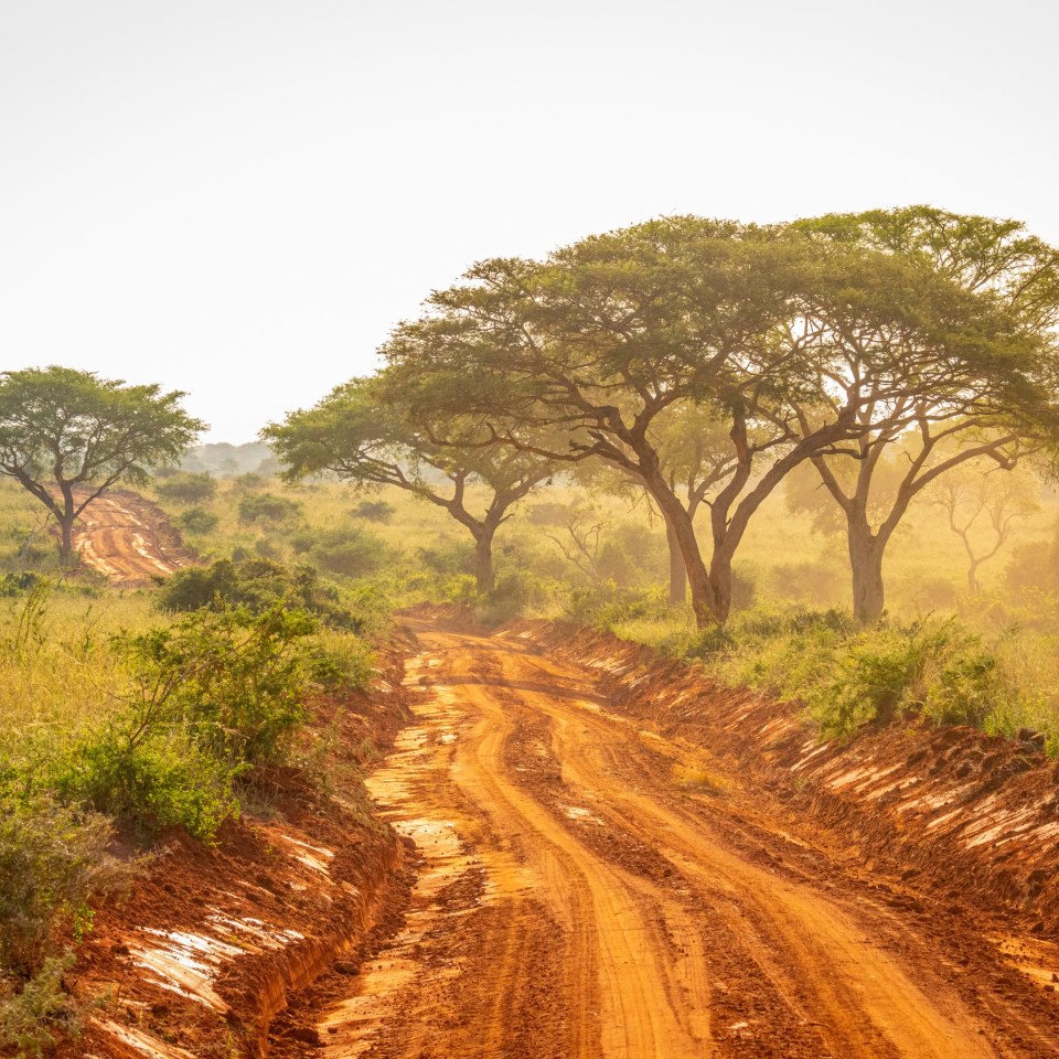 Churchill's Erbe: die grüne Perle Afrikas